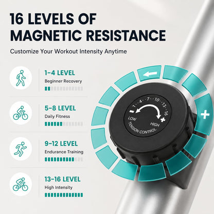 THERUN Elliptical Machine for Home