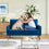 Koorlian Loveseat Sofa, 55